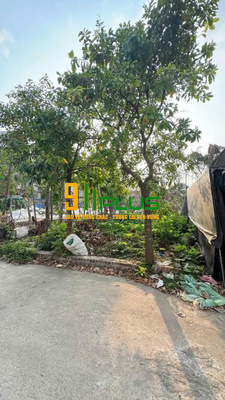 Cần bán lô đất khu đấu giá nhà máy nước Văn Giang – trung tâm thị trấn Văn Giang – Hưng Yên