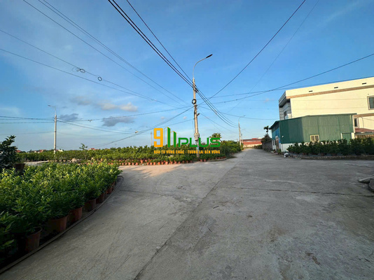 Bán lô đất đấu giá Hoàng Trạch, Mễ Sở, Văn Giang – giá đầu tư cực tốt